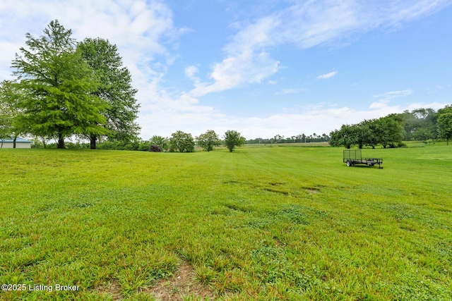 2070 Tonieville Rd, Hodgenville, KY 42748 - view of green lawn