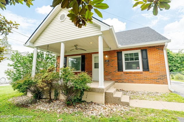224 Overdale Dr, Louisville, KY 40229 - photo 4