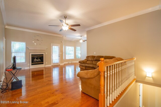 1144 Oak St, Elizabethtown, KY 42701 - photo 8
