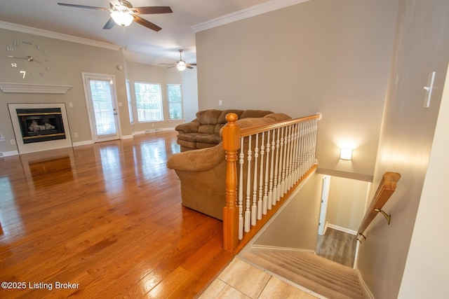 1144 Oak St, Elizabethtown, KY 42701 - photo 37