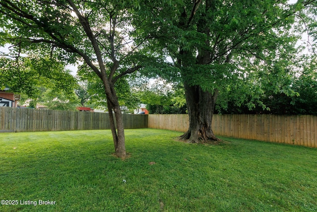 2926 White Plains Rd, Louisville, KY 40218 - photo 48