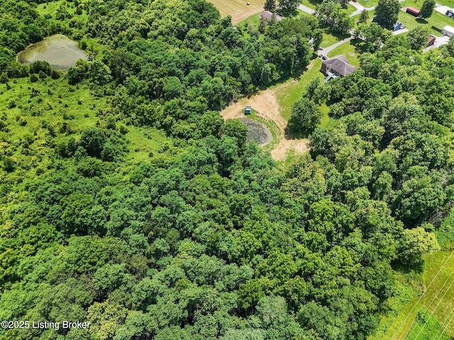 1126 Lagrange Rd, New Castle, KY 40050 - aerial view