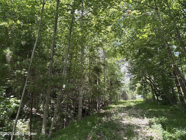 0 E Marks Ridge Rd, Garfield, KY 40115