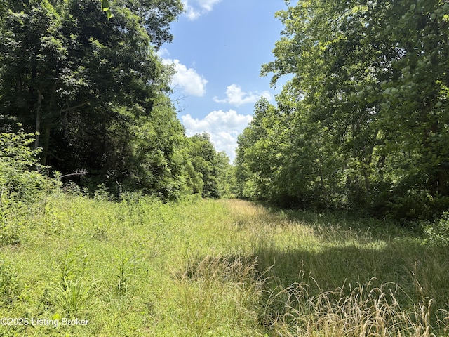 0 E Marks Ridge Rd, Garfield, KY 40115