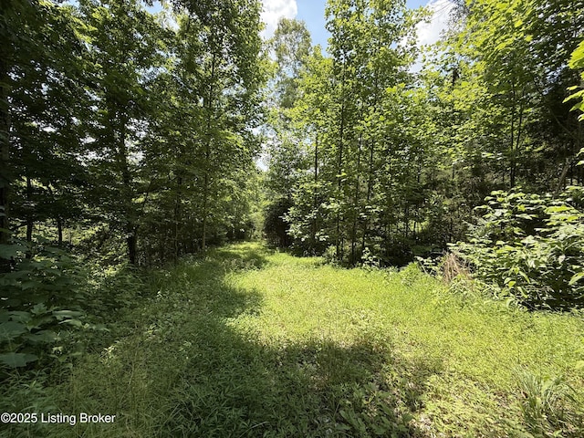 0 E Marks Ridge Rd, Garfield, KY 40115