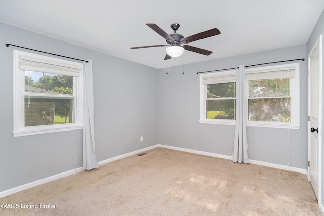 6702 Norway Dr, Louisville, KY 40214 - photo 8