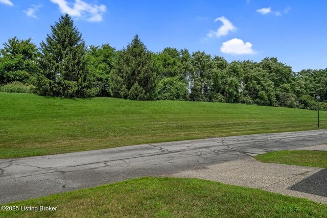 6725 Arbor Creek Dr, Louisville, KY 40228 - photo 24