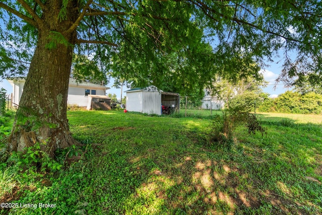 1255 Holy Cross Rd, Loretto, KY 40037 - view of yard featuring a shed