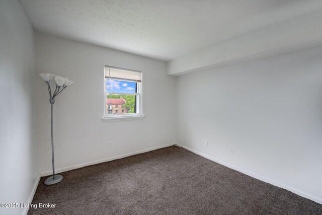 3509 Lodge Ln Apt 319, Louisville, KY 40218 - photo 13