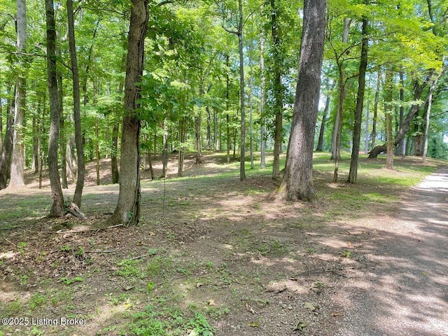 850 Cedar Hill Dr, Elizabethtown, KY 42701 - photo 2