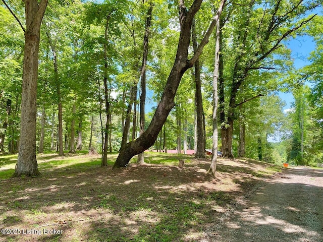 850 Cedar Hill Dr, Elizabethtown, KY 42701 - photo 4