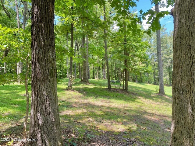850 Cedar Hill Dr, Elizabethtown, KY 42701 - photo 5