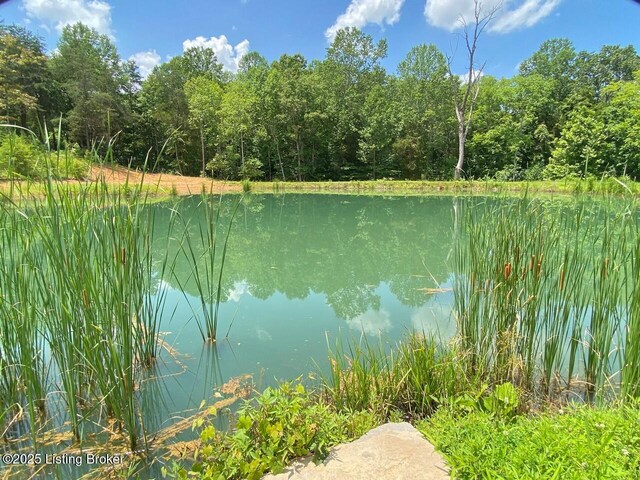 850 Cedar Hill Dr, Elizabethtown, KY 42701 - photo 17