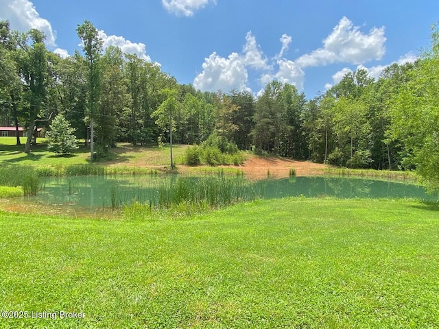 850 Cedar Hill Dr, Elizabethtown, KY 42701 - photo 18