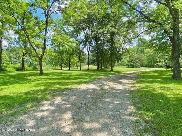 850 Cedar Hill Dr, Elizabethtown, KY 42701 - photo 20