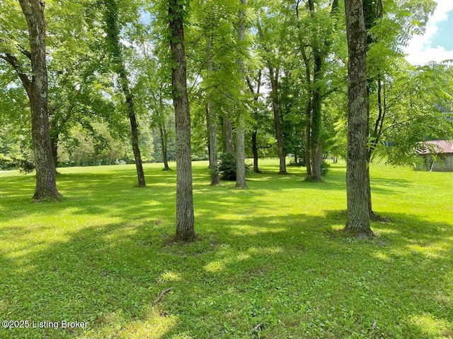 850 Cedar Hill Dr, Elizabethtown, KY 42701 - photo 21