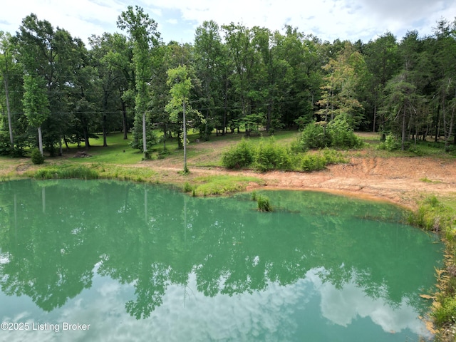 850 Cedar Hill Dr, Elizabethtown, KY 42701 - photo 32