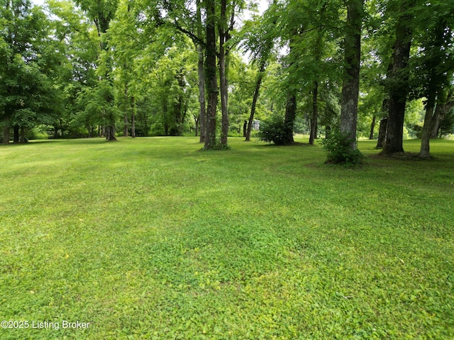 850 Cedar Hill Dr, Elizabethtown, KY 42701 - photo 33