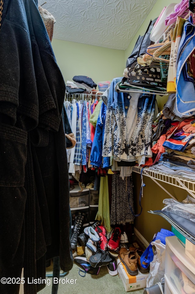 6813 Casey Pl, Louisville, KY 40229 - spacious closet featuring carpet flooring