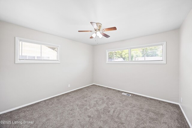 2931 Garey Ln, Louisville, KY 40216 - photo 17