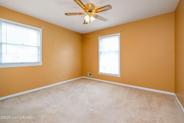 8014 Annella Way, Louisville, KY 40219 - photo 17