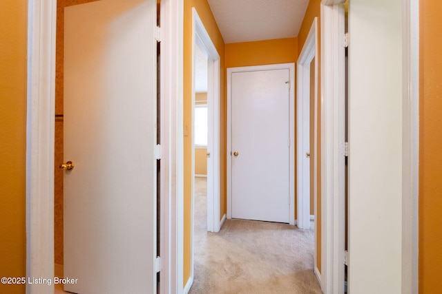 8014 Annella Way, Louisville, KY 40219 - photo 20