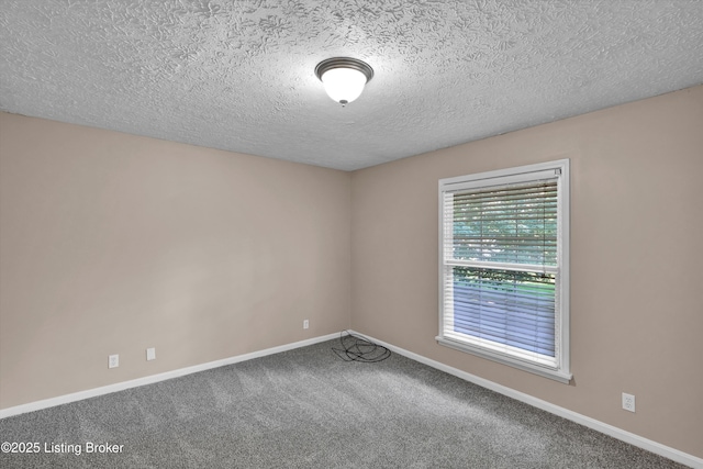 1229 Westlynne Way Unit 8, Louisville, KY 40222 - photo 23