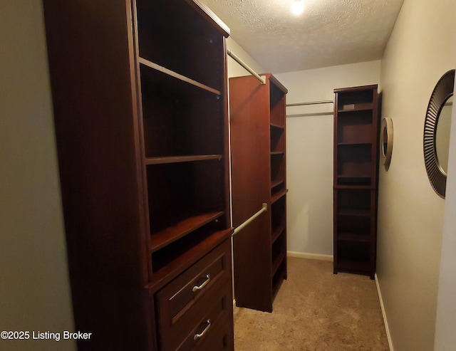 316 Old Towne Rd, Louisville, KY 40214 - photo 30