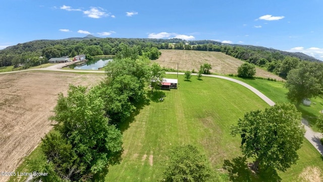 266 Terrapin Ln, Bardstown, KY 40004 - photo 28