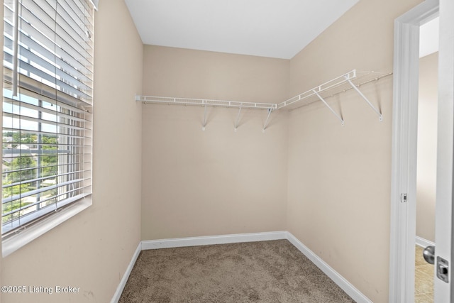 9006 Big Boulder Dr, Louisville, KY 40291 - walk in closet with carpet