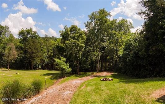 899 Pine Haven Rd, Clarkson, KY 42726 - photo 5