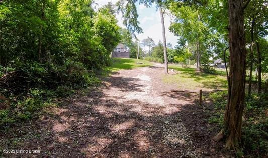 899 Pine Haven Rd, Clarkson, KY 42726 - photo 6