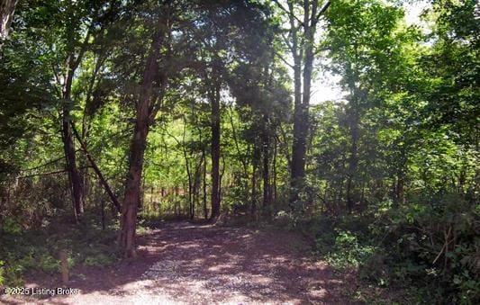 899 Pine Haven Rd, Clarkson, KY 42726 - photo 8
