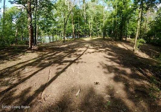 933 Dug Hill Rd, Clarkson, KY 42726 - photo 2