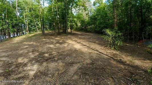 933 Dug Hill Rd, Clarkson, KY 42726 - photo 3