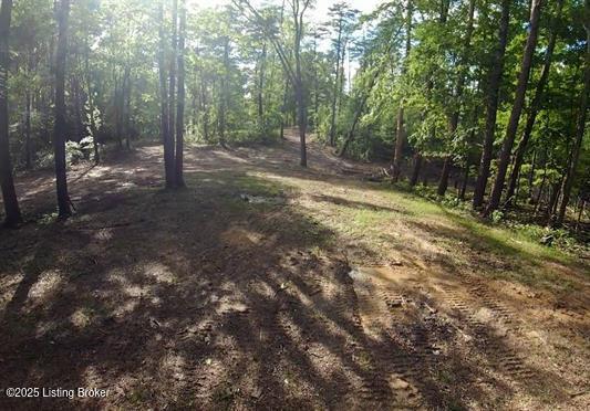 933 Dug Hill Rd, Clarkson, KY 42726 - photo 4