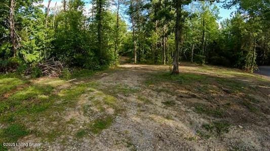 933 Dug Hill Rd, Clarkson, KY 42726 - photo 9