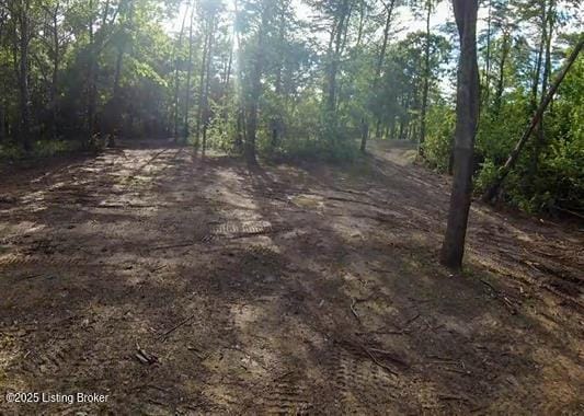 933 Dug Hill Rd, Clarkson, KY 42726 - photo 13
