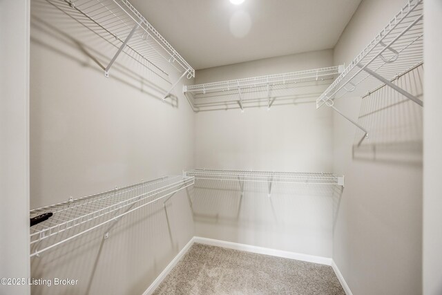 11224 Comfort Ct, Louisville, KY 40229 - photo 16