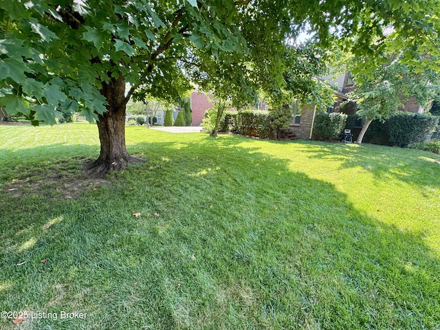 812 Foxfire Dr, Louisville, KY 40223 - photo 51