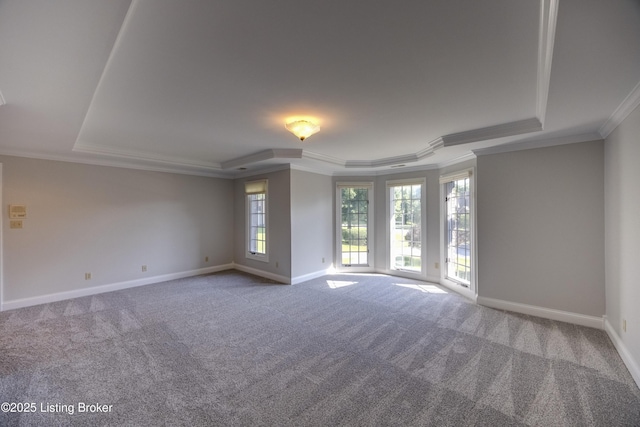 7202 Doe Crest Ct, Prospect, KY 40059 - empty room featuring a tray ceiling, crown molding, and carpet floors