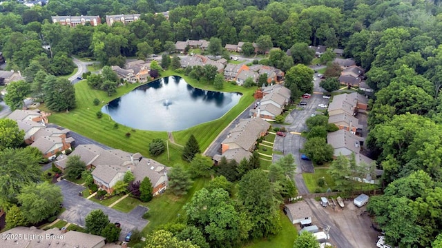 5503 Forest Lake Dr, Prospect, KY 40059 - aerial overview of property's location with nearby suburban area and a nearby body of water