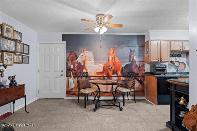 203 Middletown Sq, Louisville, KY 40243 - photo 8
