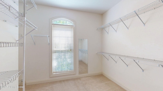 5407 Merribrook Ln, Prospect, KY 40059 - spacious closet with light carpet