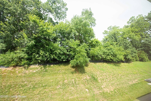 16991 Green Crest Ln, Louisville, KY 40245 - photo 54