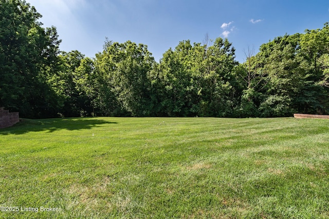 4702 Maris Ln, Louisville, KY 40241 - photo 45
