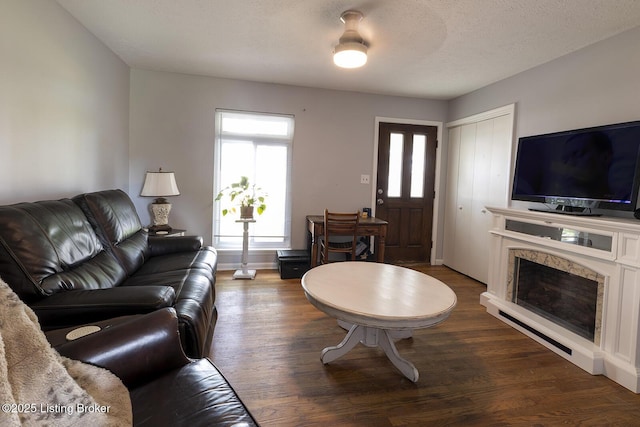 469 Ardmore Ln, Shelbyville, KY 40065 - living room featuring dark wood-type flooring and a textured ceiling
