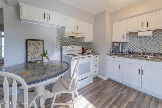 469 Ardmore Ln, Shelbyville, KY 40065 - kitchen featuring white range with electric stovetop, under cabinet range hood, tasteful backsplash, and white cabinetry