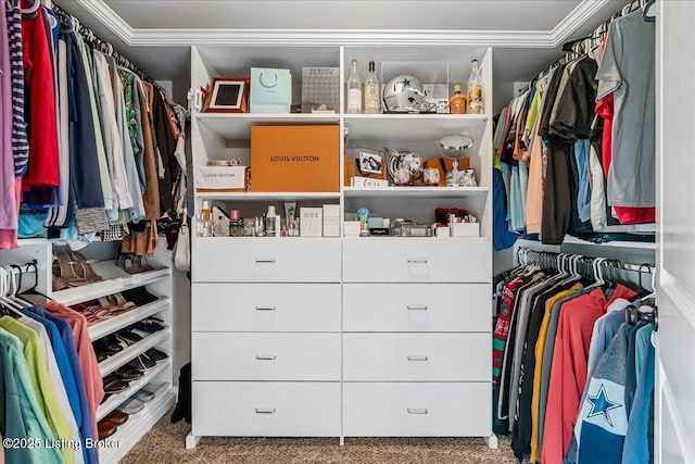 1105 Deer Fields Trce, La Grange, KY 40031 - walk in closet featuring carpet flooring