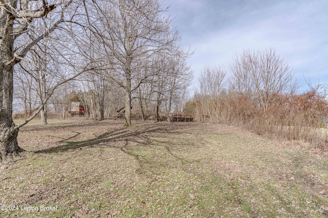 7140 Anneta Rd, Leitchfield, KY 42726 - photo 72